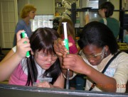 In search of DNA In the Stem Lab