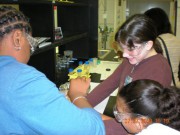 We found the DNA! in the STEM lab 2